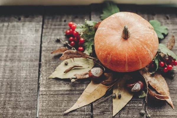 Kabak yapraklar, fındık ve çilek ile 