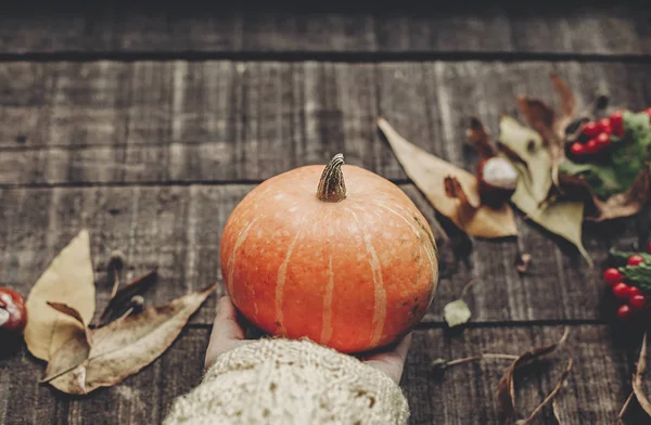 Kabak vererek süveterin içinde el