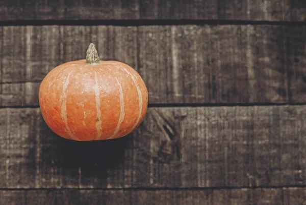 rustik arka plan üzerinde güzel kabak