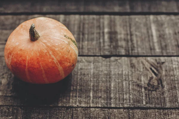 kabak ile tebrik kartı 