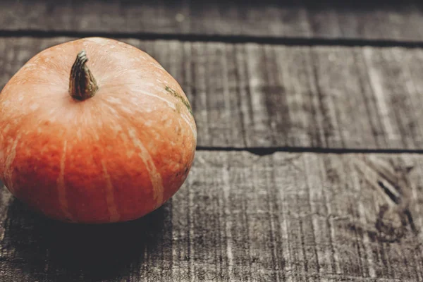 kabak ile tebrik kartı 