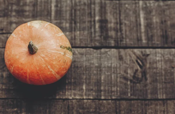 rustik arka plan üzerinde güzel kabak