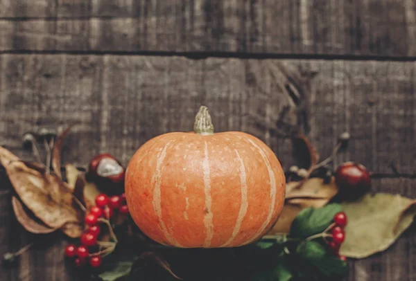 kabak, yaprak, kestane ve çilek 