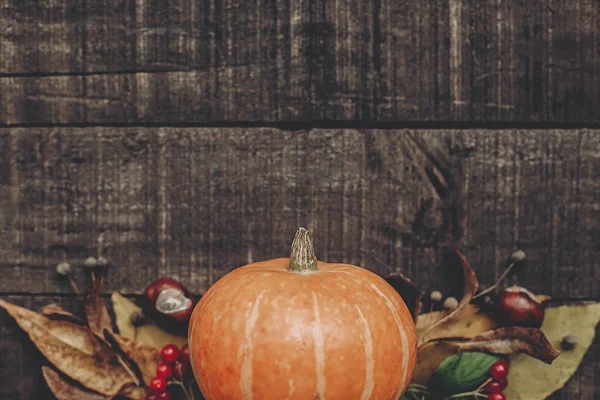 kabak, yaprak, kestane ve çilek 