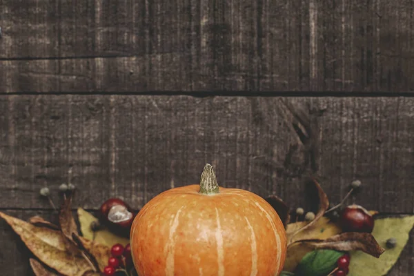 kabak, yaprak, kestane ve çilek 