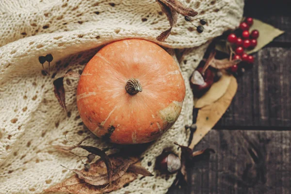 Kazak, sonbahar yaprakları ve kızılcık