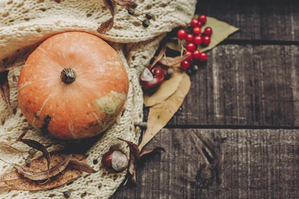 Kazak, sonbahar yaprakları ve kızılcık