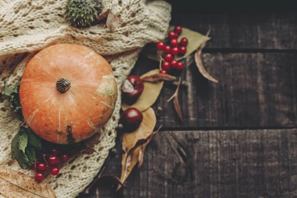 Sonbahar rustik düz lay 