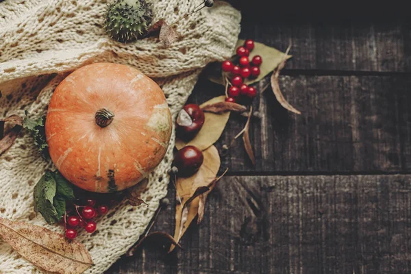 örme kazak üzerinde kabak kartıyla