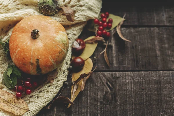 örme kazak üzerinde kabak kartıyla