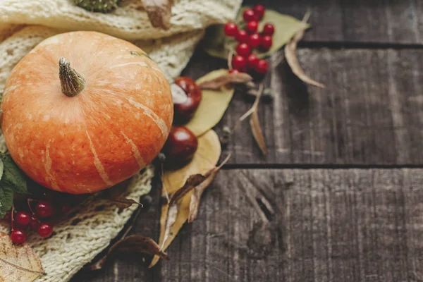 Sonbahar rustik düz lay 