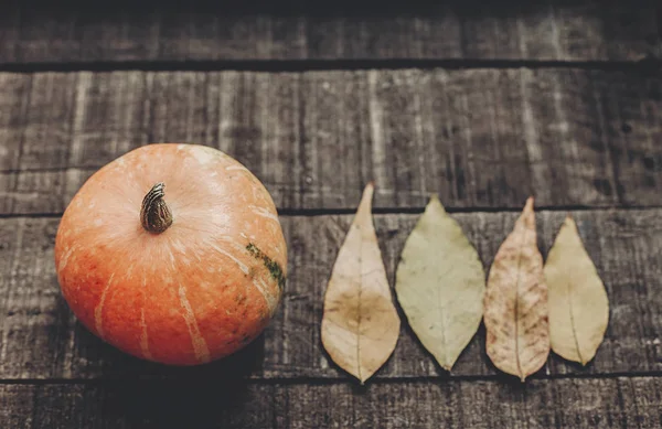 Kabak ile sonbahar yaprakları