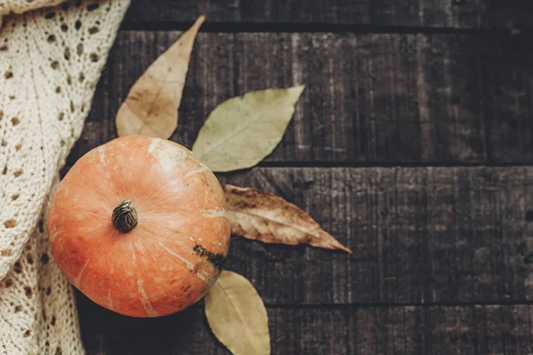 kabak, kazak ve atumn yaprakları