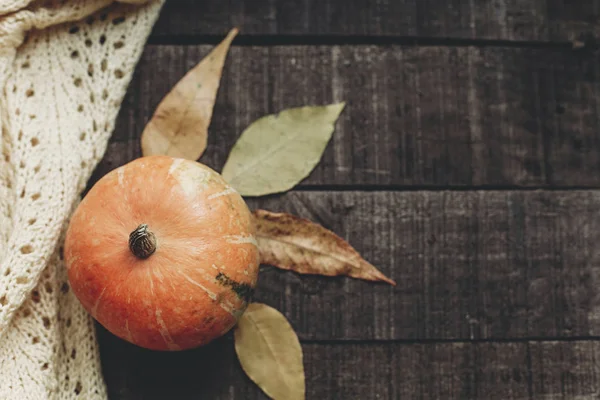 kabak, kazak ve atumn yaprakları