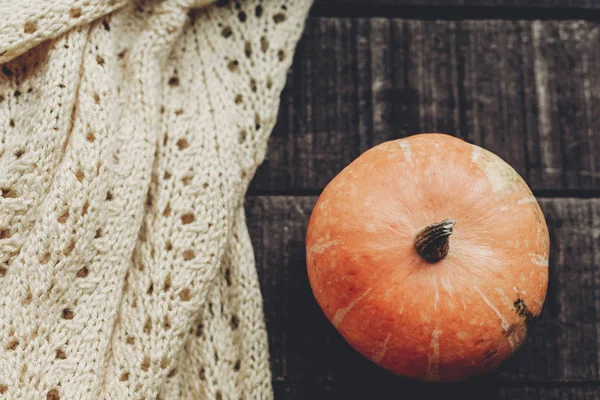 kabak ve örme kazak