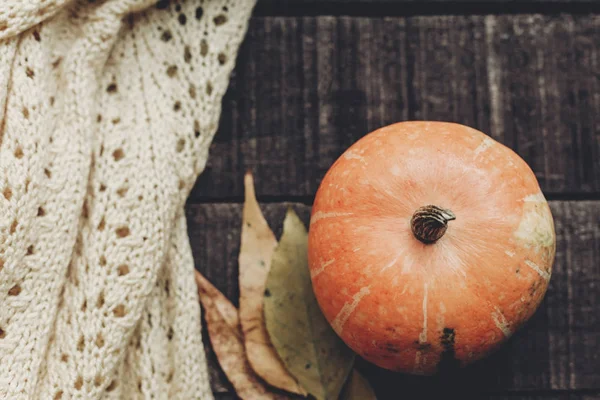 kabak, kazak ve atumn yaprakları