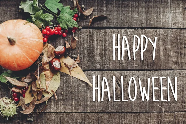 kabak, yaprak, kestane ve kızılcık