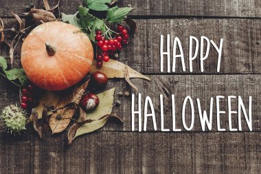 kabak, yaprak, kestane ve kızılcık