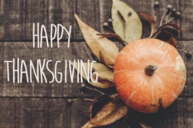 kabak, yaprakları ve meyveleri kartı 