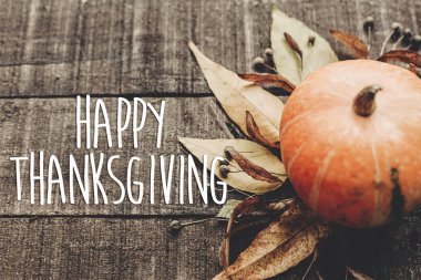 Şükran Günü Mesajın kutlu olsun. 