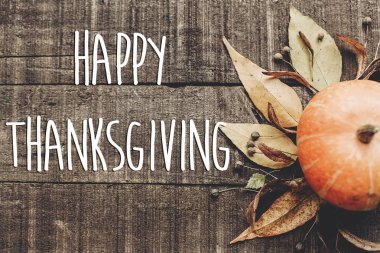 kabak, yaprakları ve meyveleri kartı 