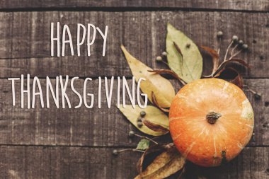 kabak, yaprakları ve meyveleri kartı 