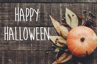 kabak, yaprakları ve meyveleri