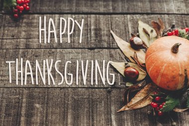 Şükran Günü Mesajın kutlu olsun.