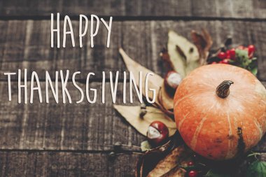 Şükran Günü Mesajın kutlu olsun.