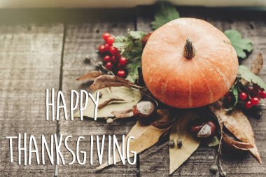 Şükran Günü Mesajın kutlu olsun.