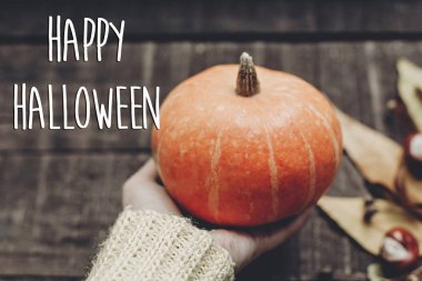 Kabak tutan süveterin içinde el 