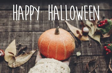 Kabak tutan süveterin içinde el 