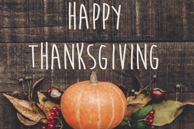 Şükran Günü Mesajın kutlu olsun.