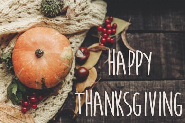 Şükran günün kutlu olsun metin işareti, tebrik kartı. sonbahar resim. güzel