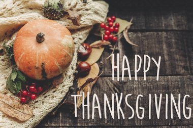 Şükran günün kutlu olsun metin işareti, tebrik kartı. görüntü düz yatıyordu düşme