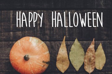 mutlu halloween metin