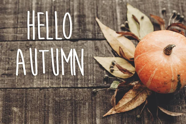 kabak, yaprakları ve meyveleri ile sonbahar kartı