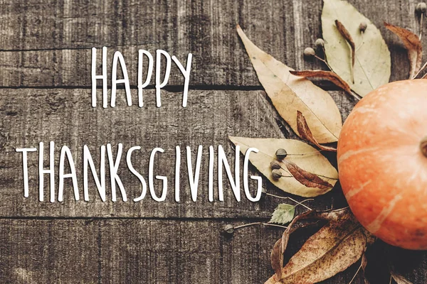 kabak, yaprakları ve meyveleri kartı 