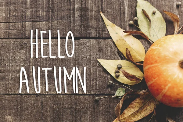 Herfst kaart met pompoen, bladeren en bessen — Stockfoto