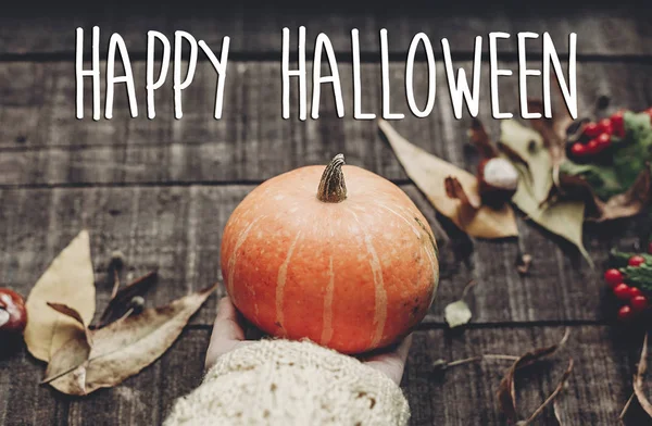 Kabak tutan süveterin içinde el 