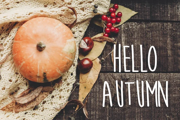 Hello autumn text — Stock Photo, Image
