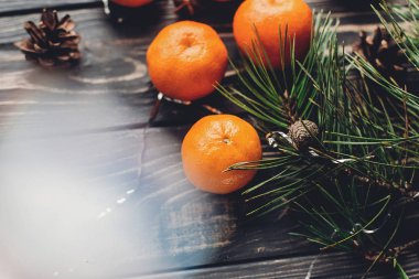 çam dalları, mandalina ve çam kozalakları