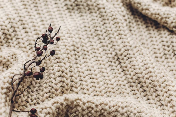 White sweater and branch — Stock Photo, Image