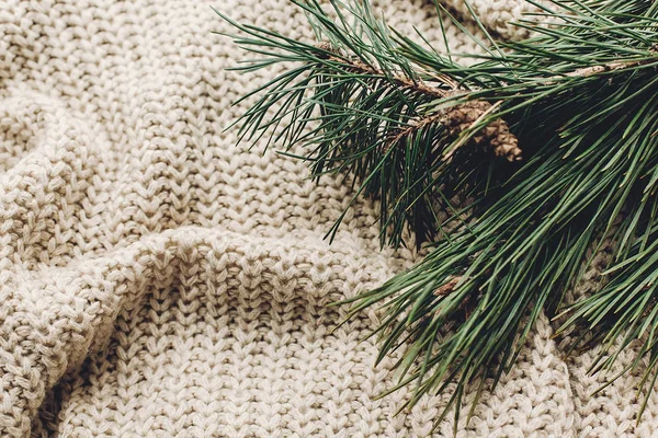 köknar dalı ile beyaz kazak