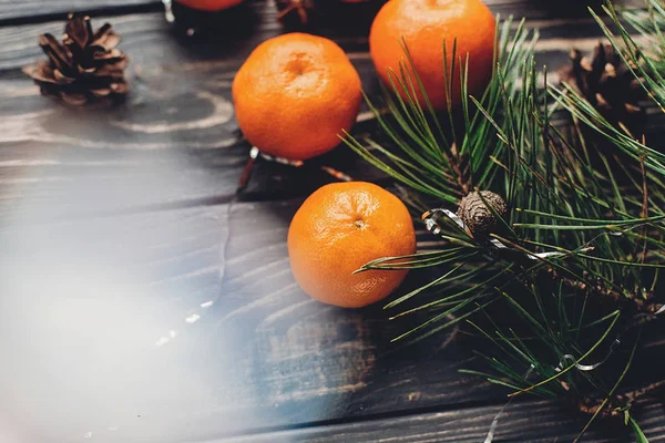 çam dalları, mandalina ve çam kozalakları