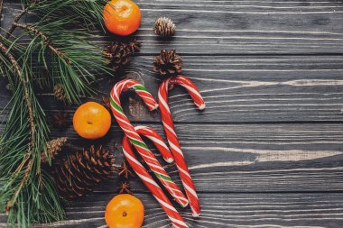 çam dalları, mandalina ve çam kozalakları