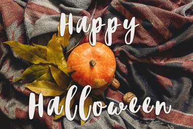 mutlu halloween metin işaret lay düz. sonbahar kabak 