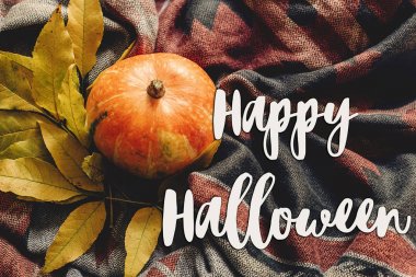 mutlu halloween metin renkli yaprakları ile sonbahar kabak oturum