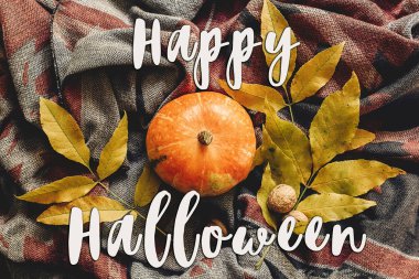 mutlu halloween metin işaret lay düz. sonbahar kabak 