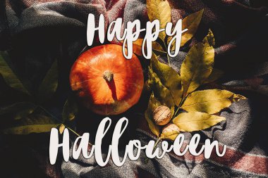 mutlu halloween metin işaret lay düz. sonbahar kabak 